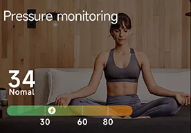 Stress Tracker E500