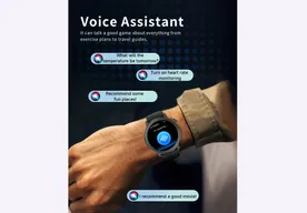 voice assistance
